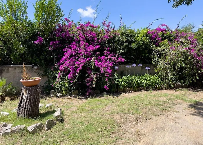 Bouganvilles Casale Reciso fotorgafie