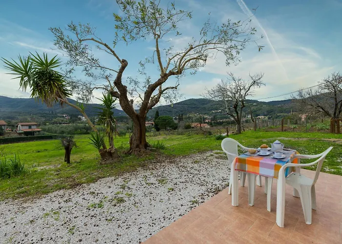 Casa Elisabetta - Goelba Apartment Le Foci photo